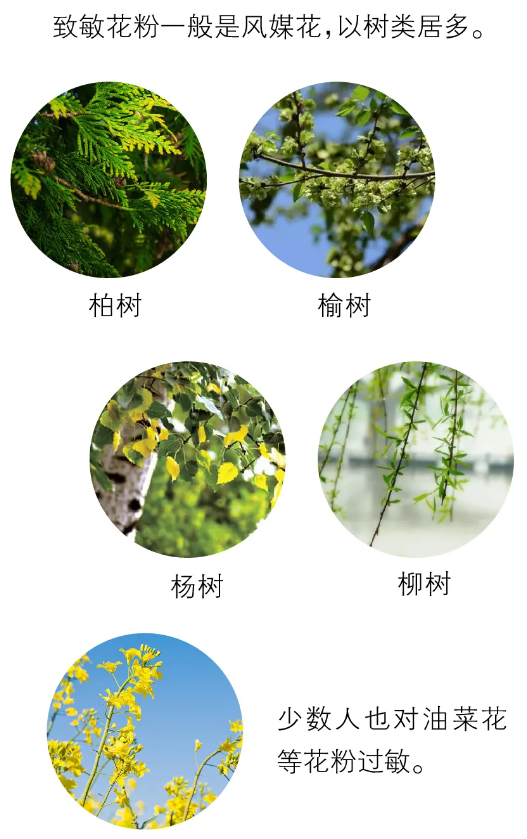 a5863c9a35357ad50117ea66d07778da.png
