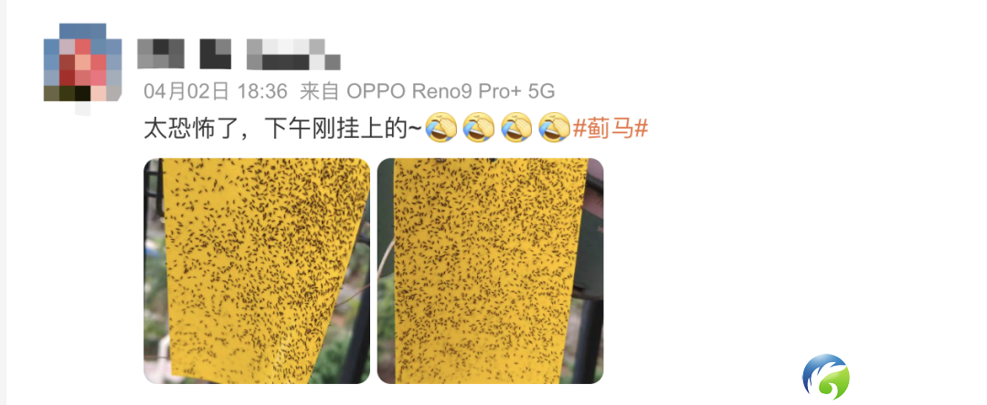 2eae2c3e9dc0392783f03e41ec9b505f.png