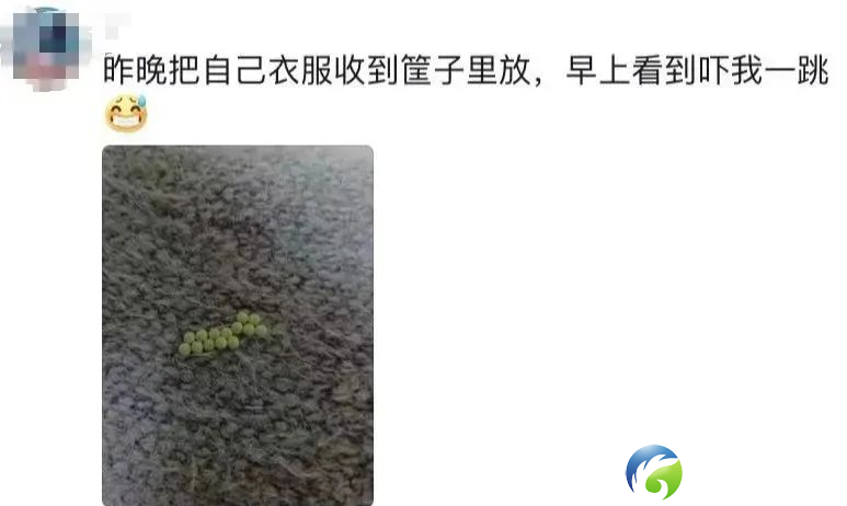 7785cbc3e4fd808c9241171cd422fde9.png