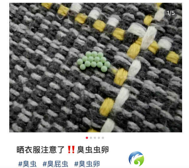 35b016c22d9899e6aff816adefb6e261.png