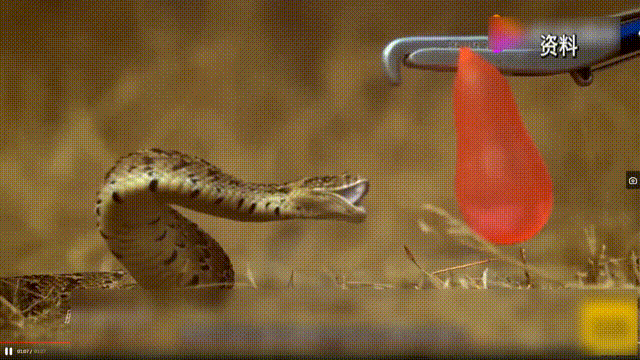 b5c29ece27566357188f31abcc7e4518.gif