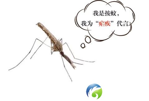 68cbd03d69c7748ab2b46d4f9934f2fc.jpg