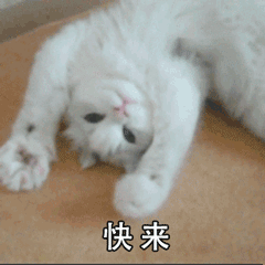 05f9d5e689d030aaf7bf3b5f36b3fc56.gif