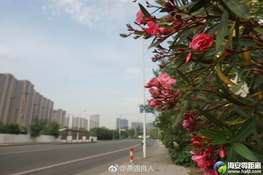 46660cbe20f62a9515972d668430f34a.jpg