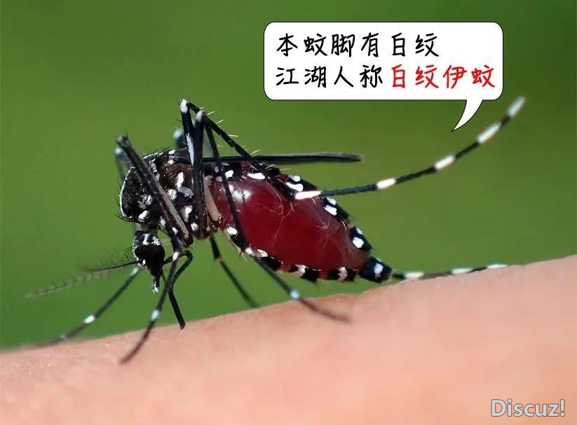 e24332ffc590ba538b12fa51640bcbf5.jpg