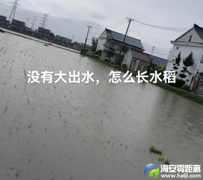 9f2dbd11ebb56c2e362130095b50d2a6.png