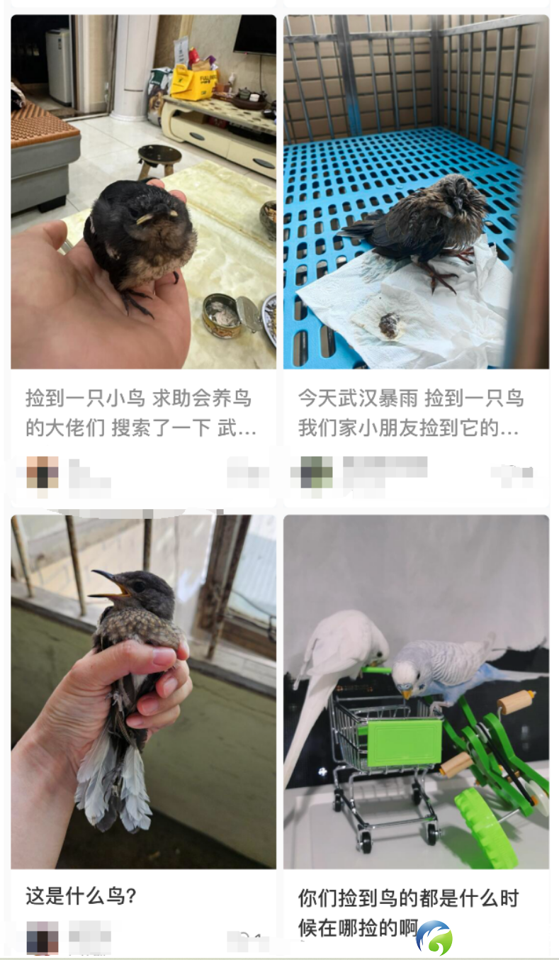 f960b7ea32ddd28dc1660a2082814e02.png