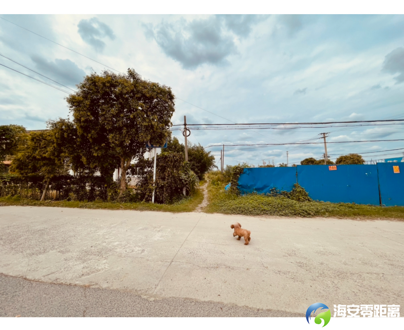 296b6f11317368cb7dbea441a34d7be4.png