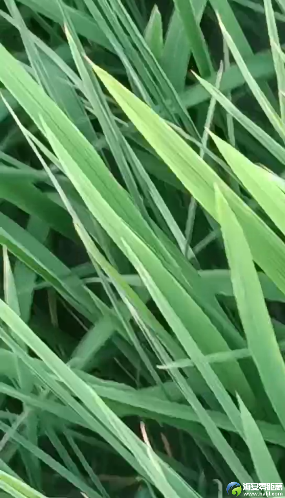 e641e187225b38c92760b242c6868495.png
