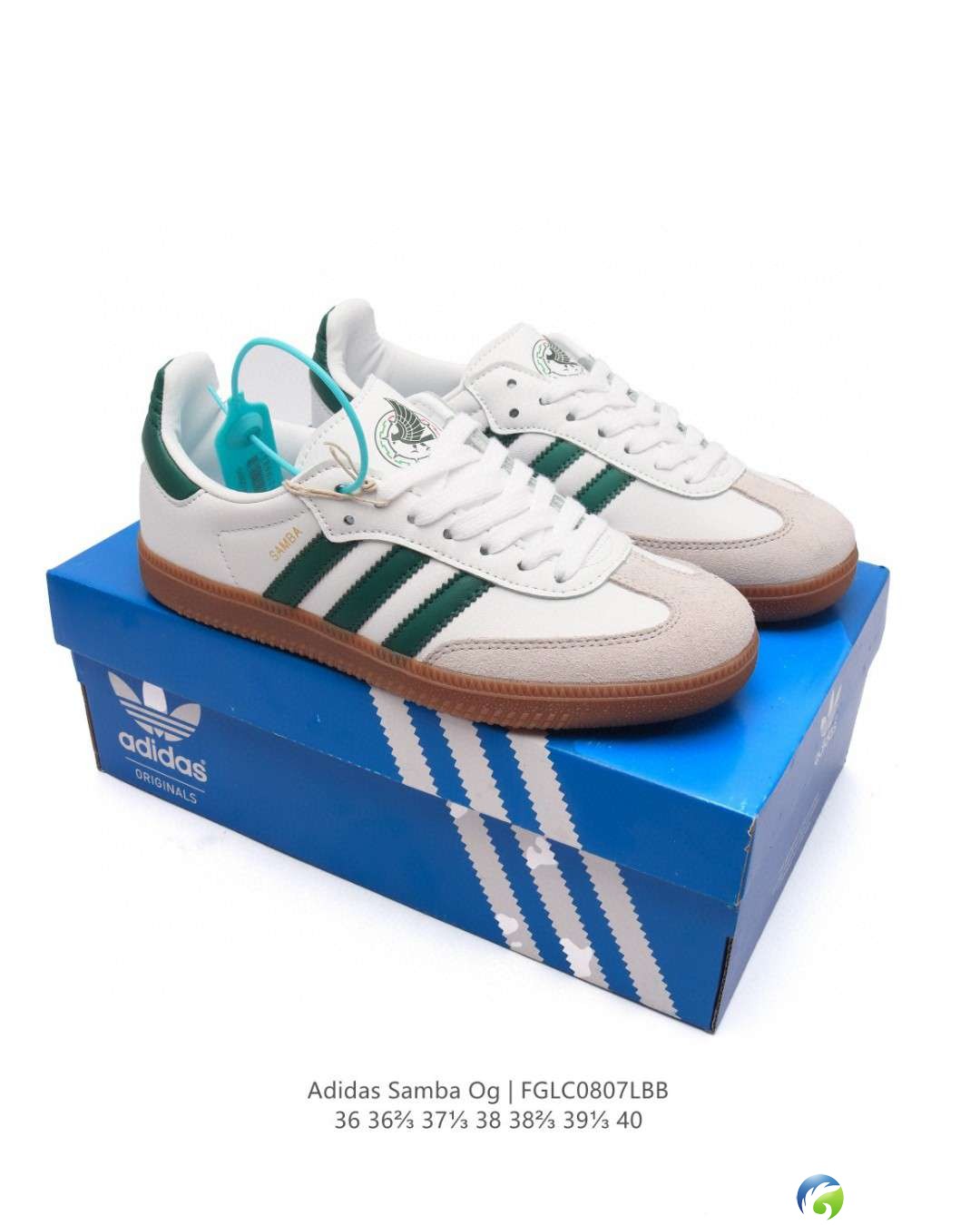 20240809100301front2_0_506_Fk8v1z0Qacv37D9Iu4ZHoU4bHQJW.jpg