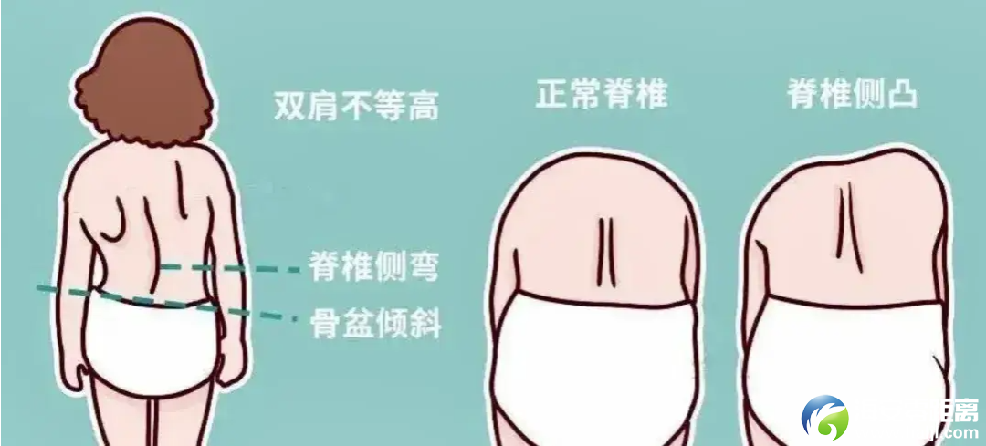 fd6d54f10870ac807cdd8a57237da1b8.png