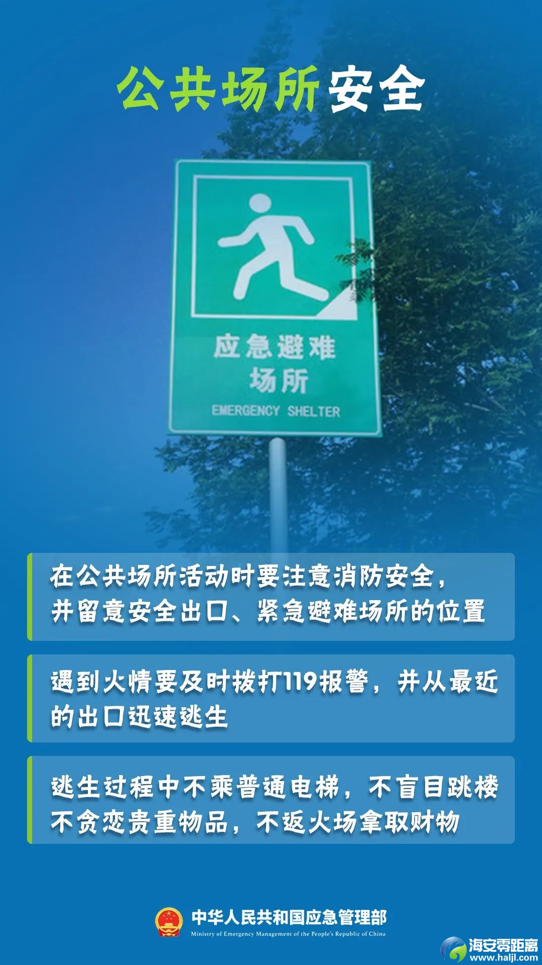 81b502ba647eacdc7d1b23fc4a543246.jpg