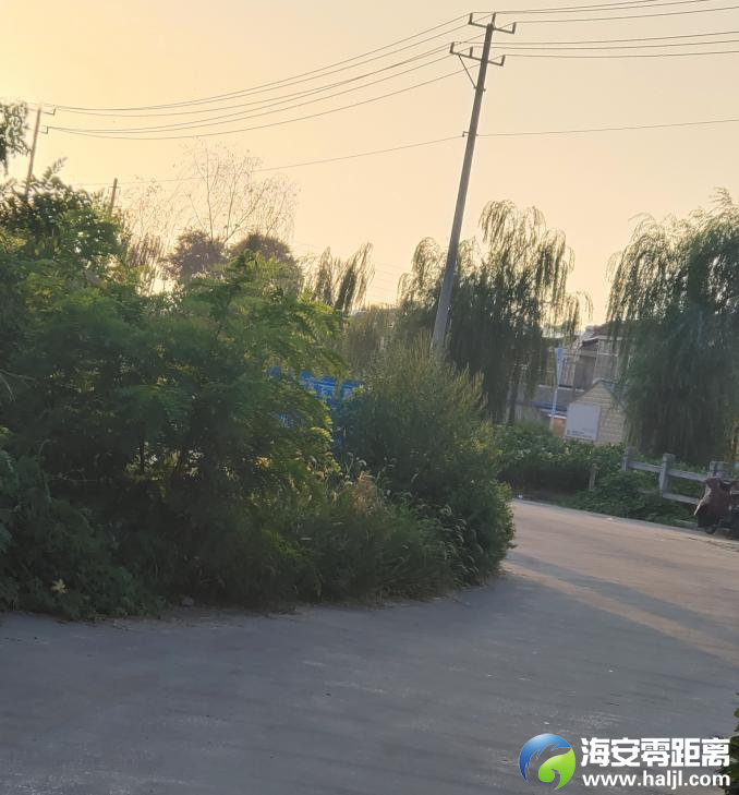 ae780d8c7884c7c8123b8e62581ac60c.png
