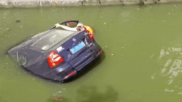1d1d4e0c9510713b480968871f7f86f5.gif