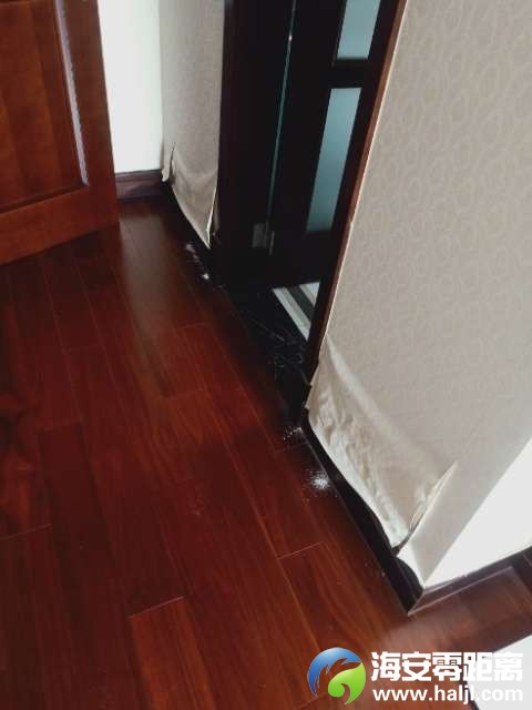 20241018160521front2_0_851_FmIYizISuVBV3HzY4OjjFJfFsNT4.jpg