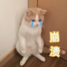 7b7ce69935fe98d915f4084303ce1e52.png