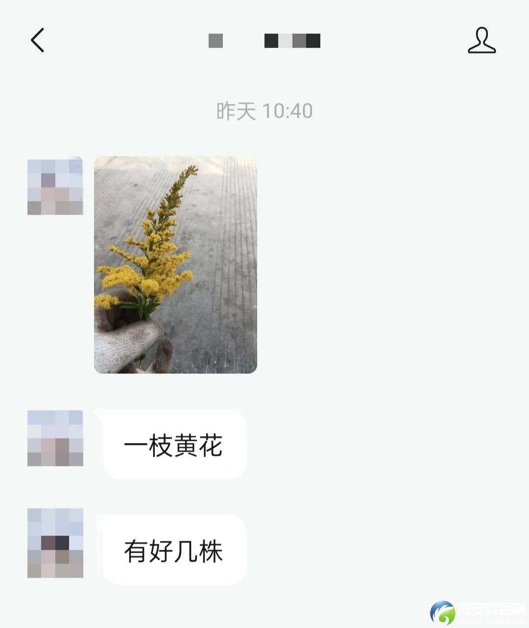 9d430261f562991e53e5b61aa18f7931.jpg