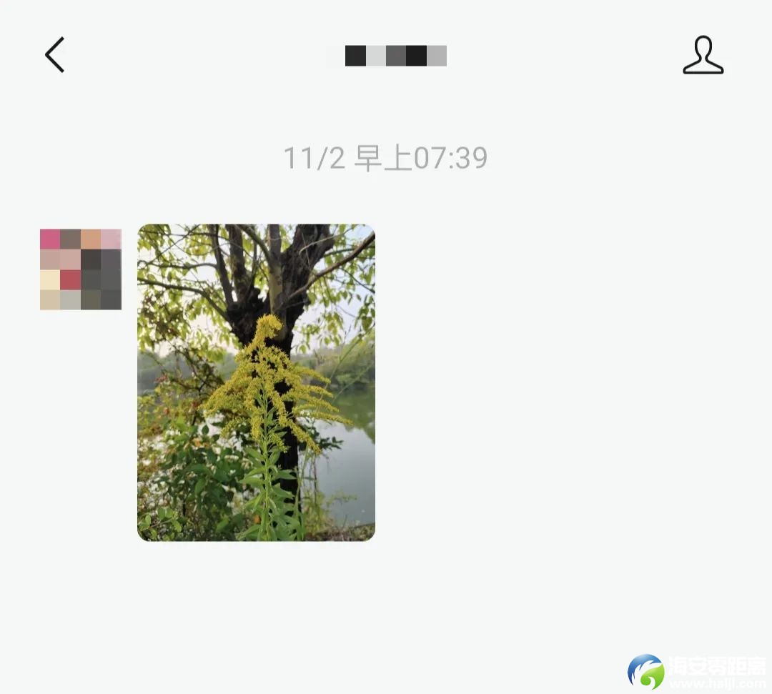 17f6b5268736dae5b2af000b99267038.jpg