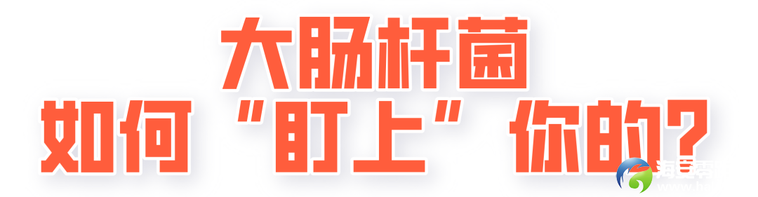 6c235b973cc7920e2aa854096579362a.png