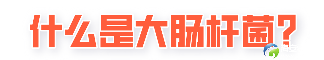2872602bca7c4b4d5959aa8c2a81c8ba.png