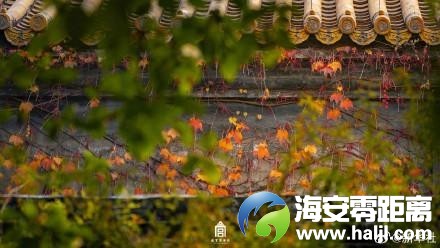 f6532db80d5b40adb21809bd8420df3f~noop.image?_iz=58558&from=article.pc_detail&lk3s=953192f4&x-expires=1732523184&x-signature=YRxTrZrkZX4%2BmN4eLLEcNr%2Fo5H8%3D