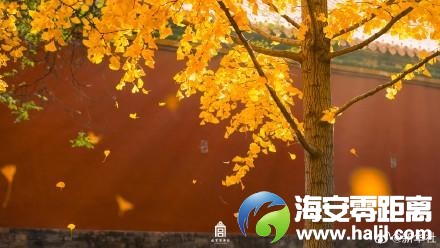 4a54cdb3d8fcf43be20a2f679b8bf9db~noop.image?_iz=58558&from=article.pc_detail&lk3s=953192f4&x-expires=1732523184&x-signature=dyZ2JNoDPfFV2qqPLEY6WRkFEpA%3D