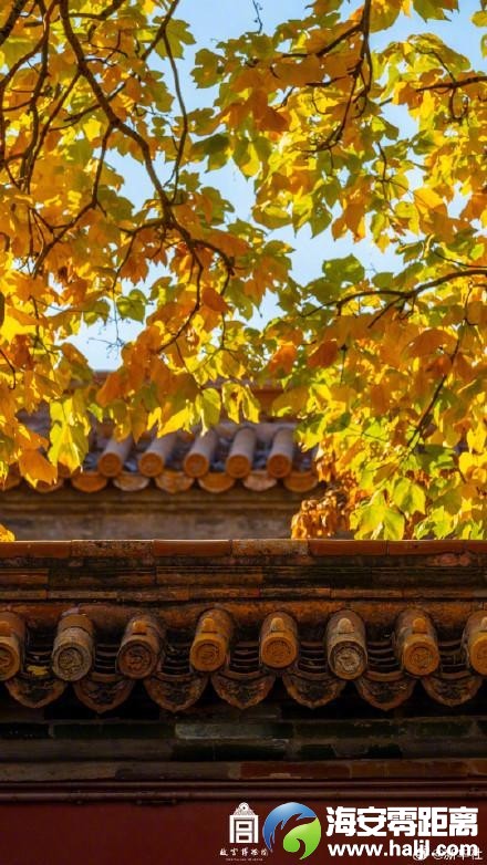 c73898a96a8aadc27b89d350cc050df1~noop.image?_iz=58558&from=article.pc_detail&lk3s=953192f4&x-expires=1732523184&x-signature=XlOQlqEu5T36l%2BWoBQb4pCpftmY%3D