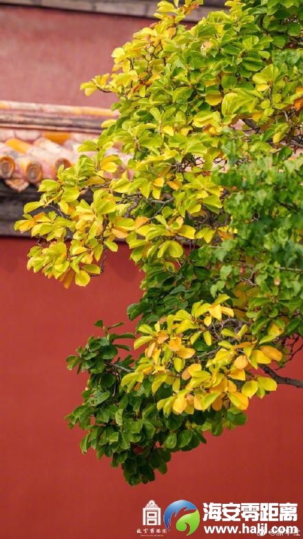 fc7f1d2a8867def7570167c8518378f3~noop.image?_iz=58558&from=article.pc_detail&lk3s=953192f4&x-expires=1732523184&x-signature=rVWiZcM%2FknhqZqJLHc5A%2BKCwce0%3D