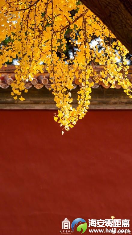 1c2e1b18b42481ec75f693bb39268764~noop.image?_iz=58558&from=article.pc_detail&lk3s=953192f4&x-expires=1732523184&x-signature=kPyNv8%2BBgK1sXESW5vmHFvmsyqw%3D