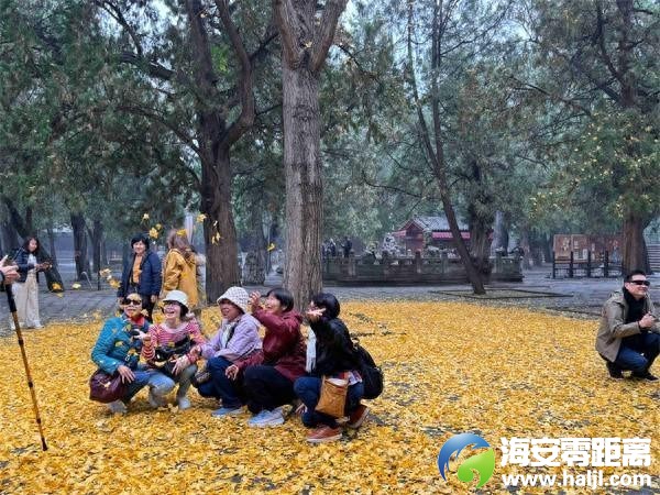 e166a296721d4e63873d893c0f3683b0~noop.image?_iz=58558&from=article.pc_detail&lk3s=953192f4&x-expires=1732523216&x-signature=%2BWzX1w9N%2Boe%2FVBWf8cjg50VSXLo%3D