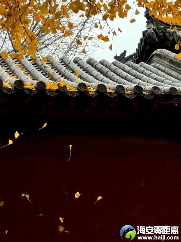 a7b91a5409e0ada8d0f3841ba13bb8e9~noop.image?_iz=58558&from=article.pc_detail&lk3s=953192f4&x-expires=1732523216&x-signature=DwKdzTmoJgCPCnMk8RN8lGvs8dU%3D