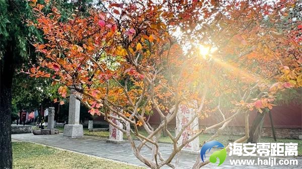 0f16db0155f44df04ba4deac49eb2be5~noop.image?_iz=58558&from=article.pc_detail&lk3s=953192f4&x-expires=1732523216&x-signature=abpA2x4206XCl8ug%2BuN6OnqI8jc%3D