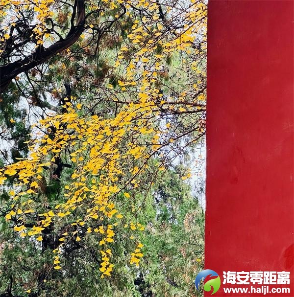 25d8ac9287ad0ab4e587398dc44194b4~noop.image?_iz=58558&from=article.pc_detail&lk3s=953192f4&x-expires=1732523216&x-signature=u8fftP6m%2FUzQl%2FJLnBsHfWBqcLI%3D