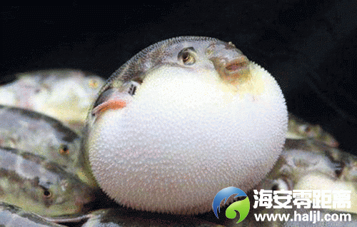 797eb3d554134266a7cb68f07ee49672~noop.image?_iz=58558&from=article.pc_detail&lk3s=953192f4&x-expires=1732585602&x-signature=2%2Byhxj9Xh97CWU04%2FW5eT3WfkBs%3D