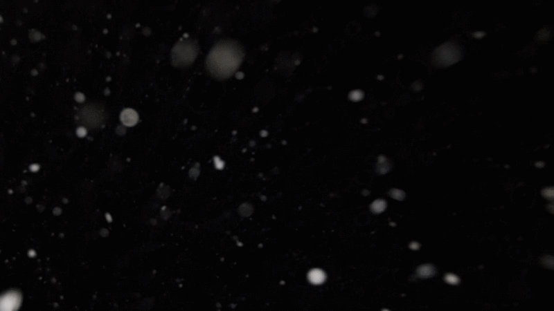640?wx_fmt=gif&from=appmsg