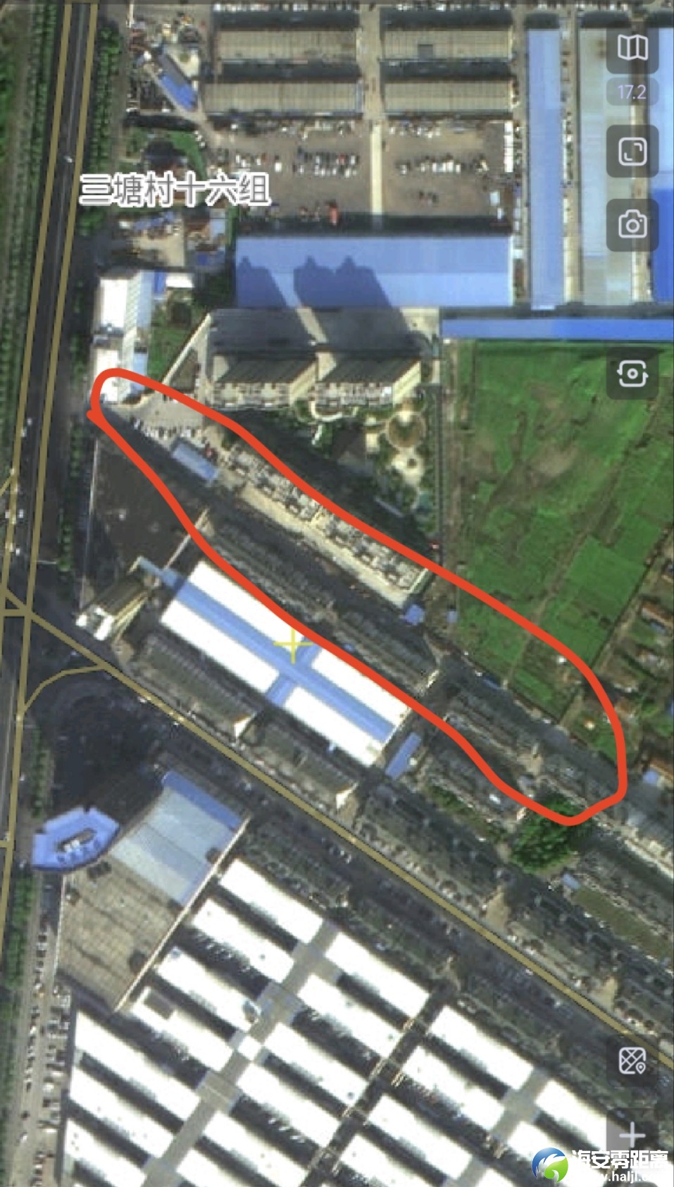 mmexport1733976126549.jpg