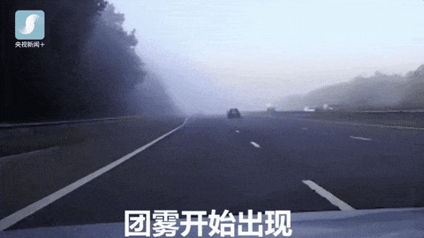 f31ddae1548bfa5e7274993a5402f9c0.gif