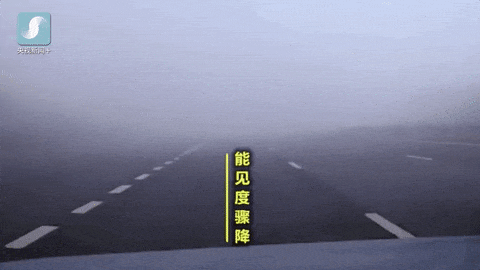 58ef207273ba1804b04af89cc3f0ef0d.gif