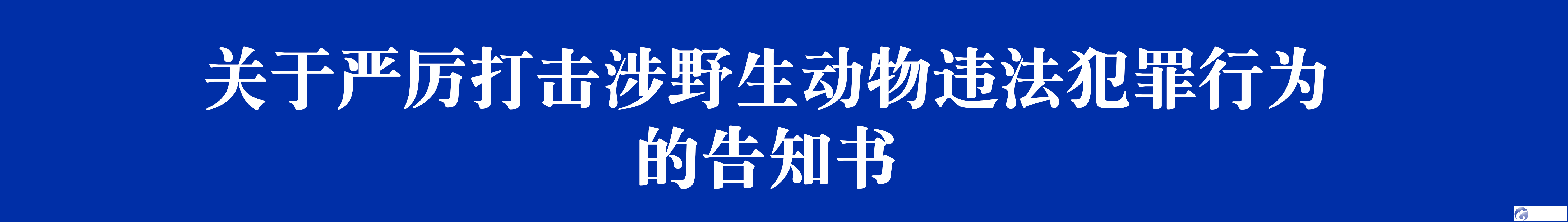cb72f80426f44010ab9ad2cba8e7832a.png