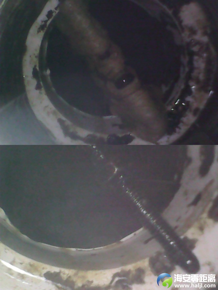 Collage_20250227_125407.jpg