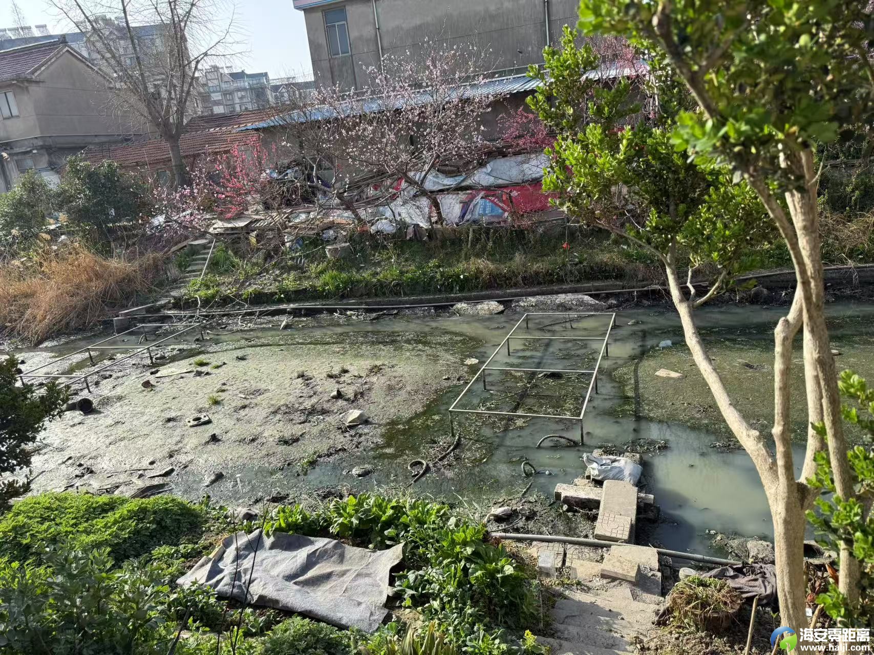 海安零距离传媒公司_20250325_082420.jpg