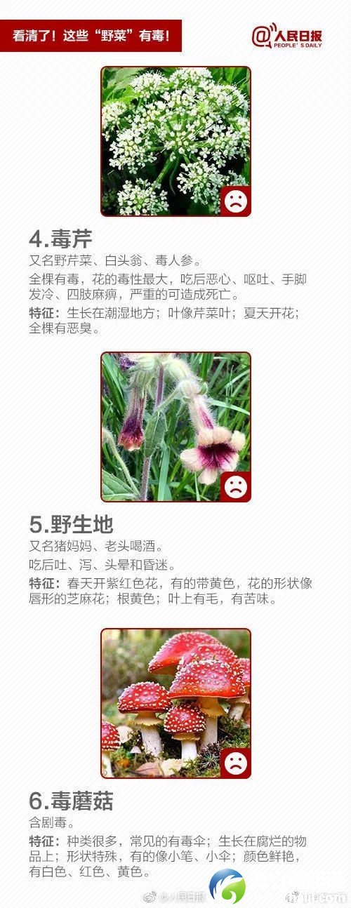 640?wx_fmt=jpeg&from=appmsg