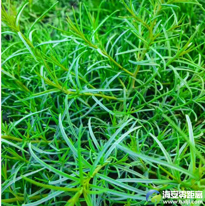 640.webp (1).png