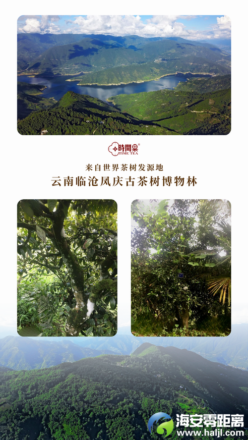 微信图片_20241226152515-缩.PNG