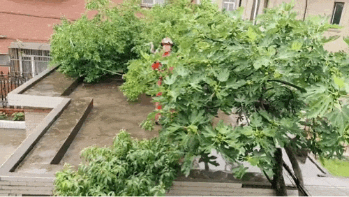 640?wx_fmt=gif&from=appmsg
