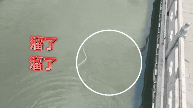640?wx_fmt=gif&from=appmsg&randomid=bozeatl5