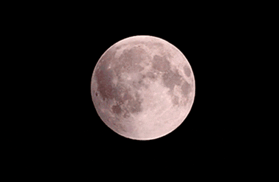 640?wx_fmt=gif&from=appmsg