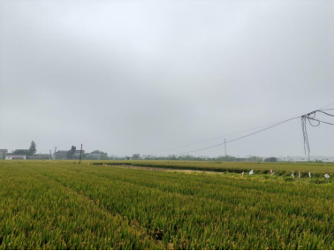 640?wx_fmt=png#imgIndex=26 640?wx_fmt=png#imgIndex=26