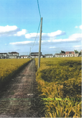 640?wx_fmt=png#imgIndex=29 640?wx_fmt=png#imgIndex=29