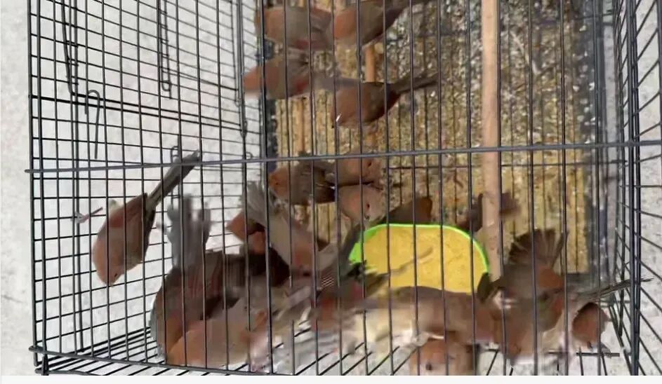 640?wx_fmt=jpeg&from=appmsg#imgIndex=5